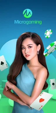 Microgaming m358 casino
